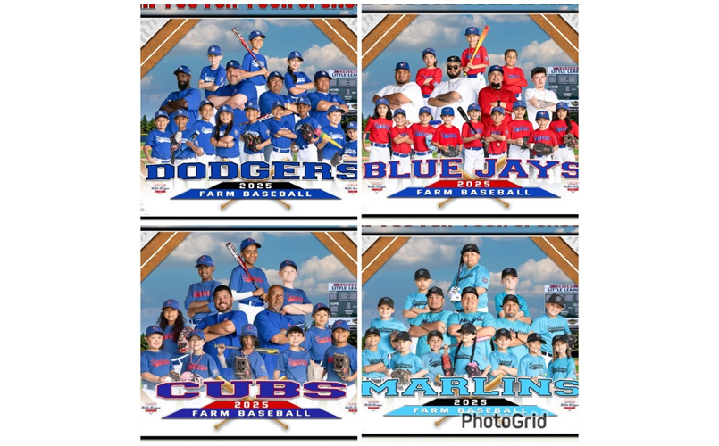 2025 Farm teams
